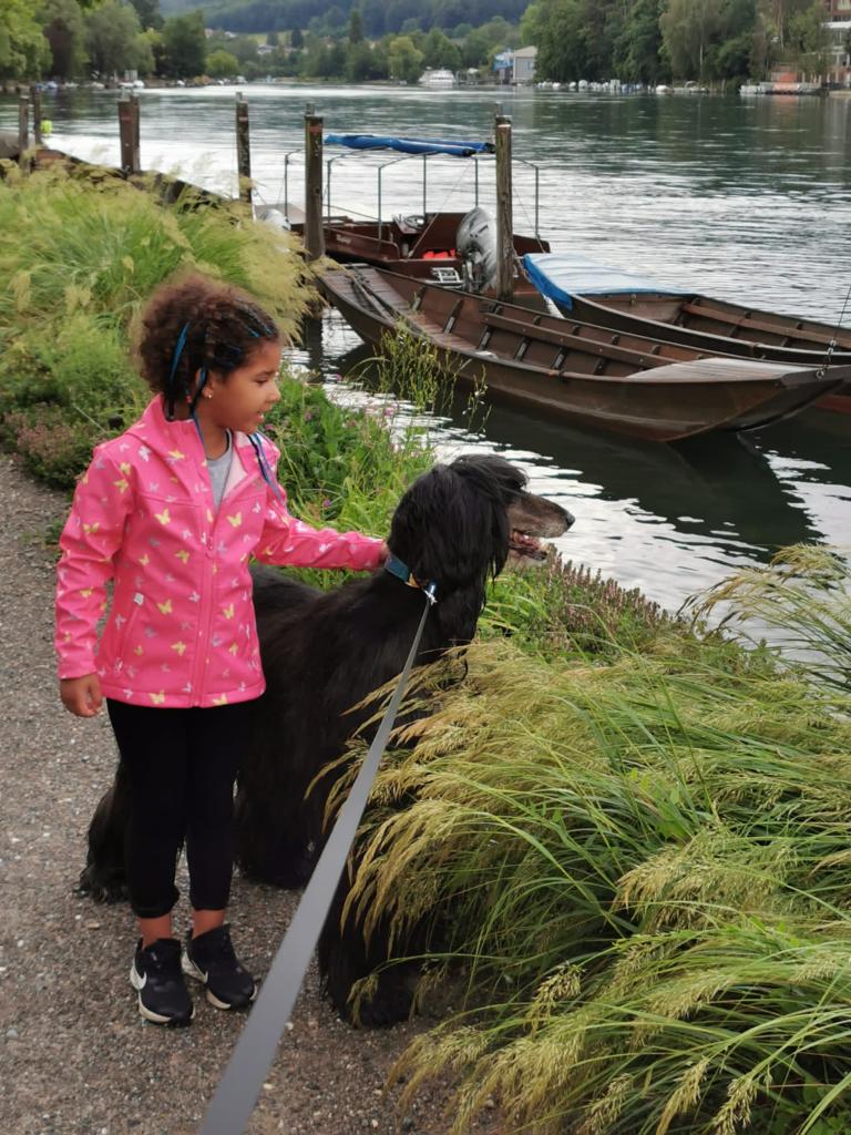 Ziggy hat eine neue Familie gefunden